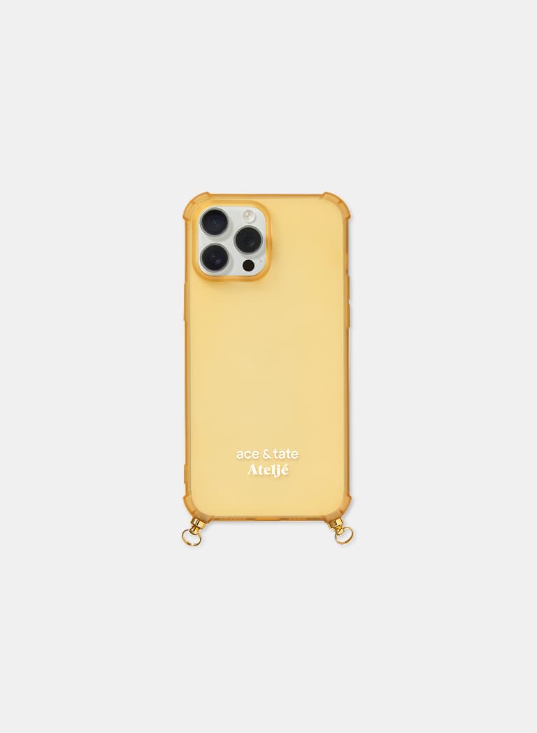 grid case