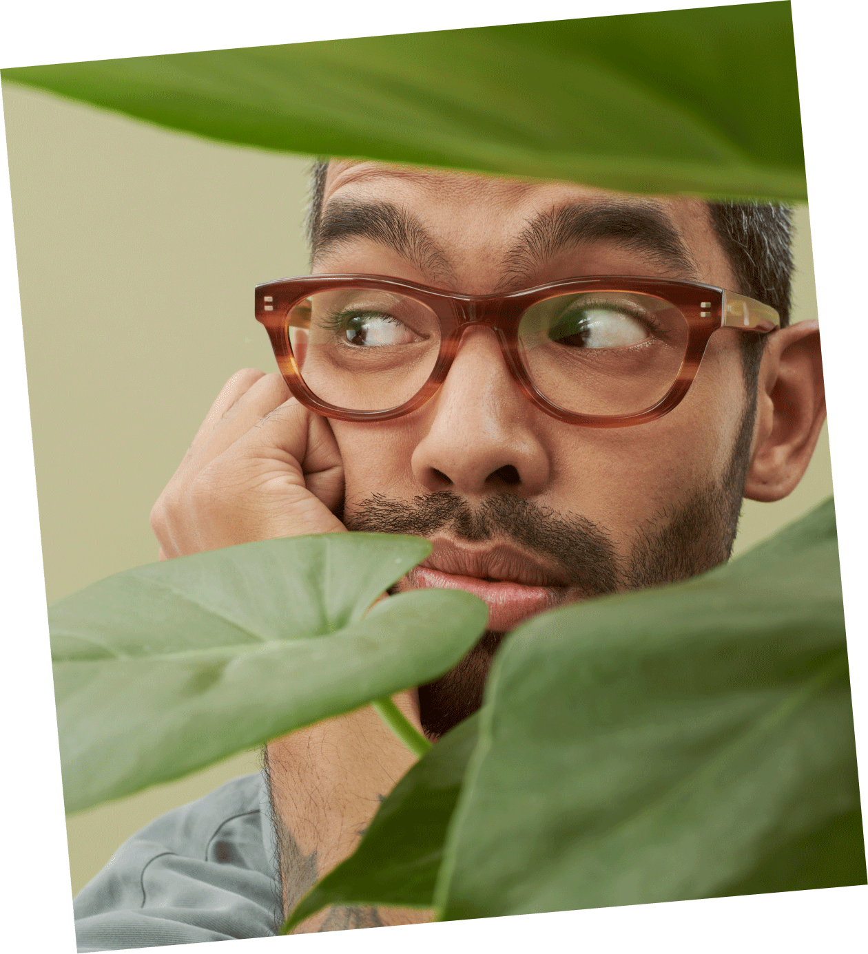 AW20 Collection Ace & Tate